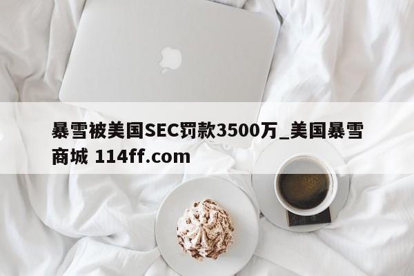 暴雪被美国SEC罚款3500万_美国暴雪商城 114ff.com 