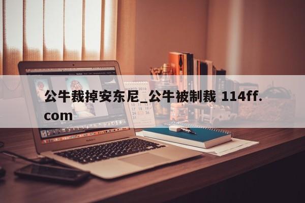 公牛裁掉安东尼_公牛被制裁 114ff.com 