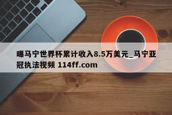 曝马宁世界杯累计收入8.5万美元_马宁亚冠执法视频 114ff.com 